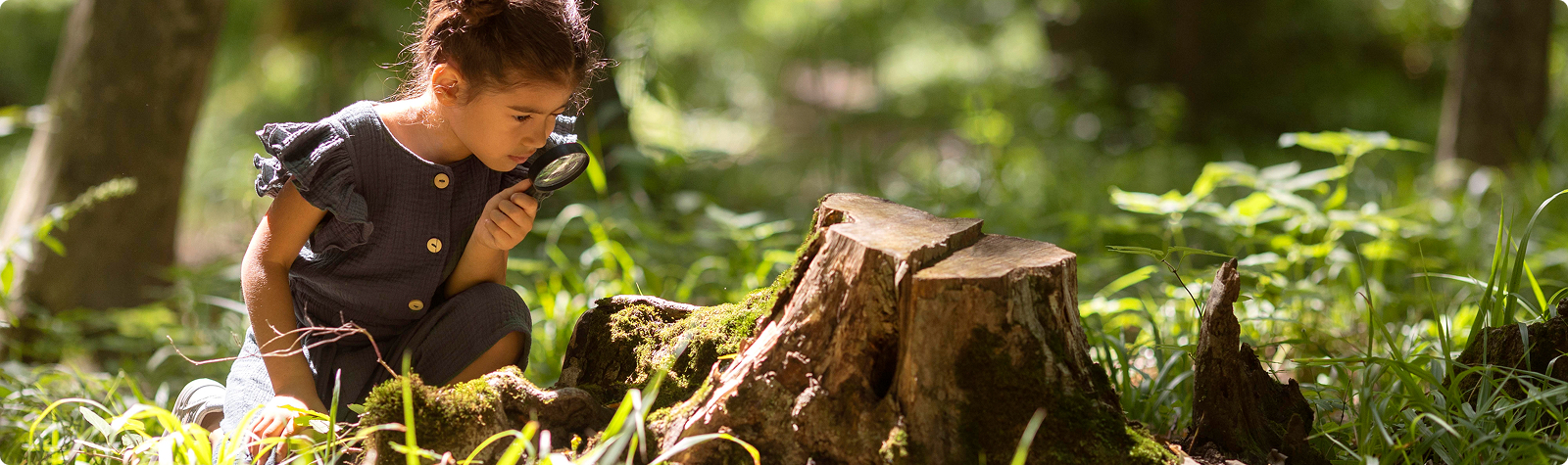 숲 속에서 자연을 관찰하는 어린이