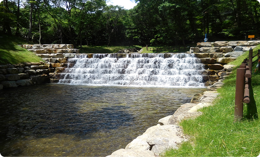 사방