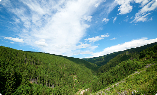 계류 보전 시설 전경