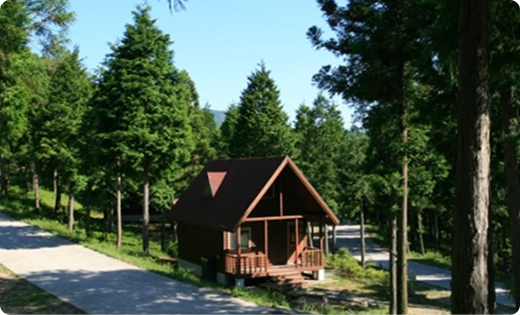 숲속 휴양림 목조 건물