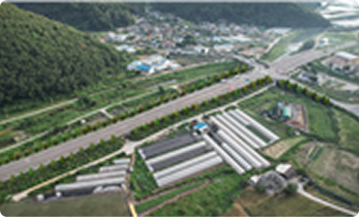 도시숲 조성 현장 전경